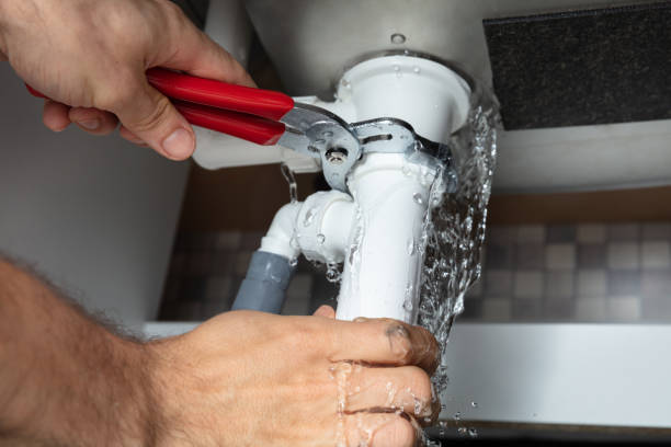Best Basement water damage restoration  in Mount Vernon, AL