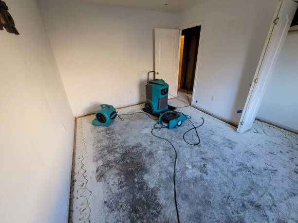 Best Flooded house restoration  in Mount Vernon, AL