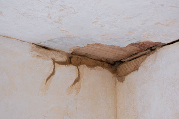 Best Residential water damage restoration  in Mount Vernon, AL