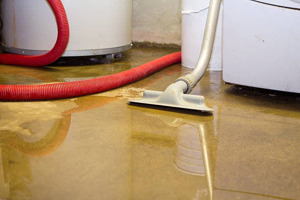 Water damage restoration insurance claims in Mount Vernon, AL