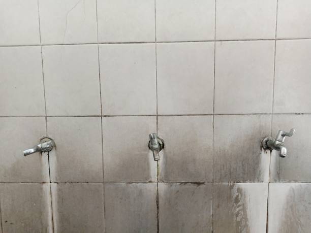 Best Water damage contractors near me  in Mount Vernon, AL