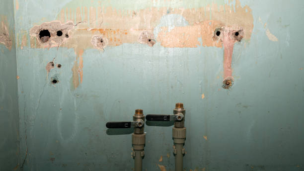 Water damage restoration experts in Mount Vernon, AL