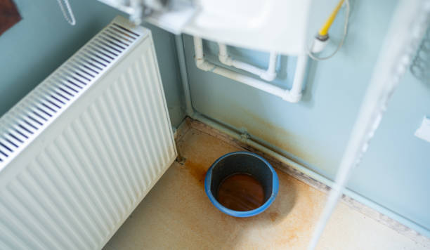 Best Water damage restoration experts  in Mount Vernon, AL