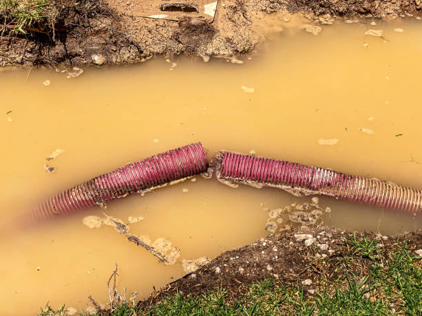 Best 24-hour water damage restoration  in Mount Vernon, AL