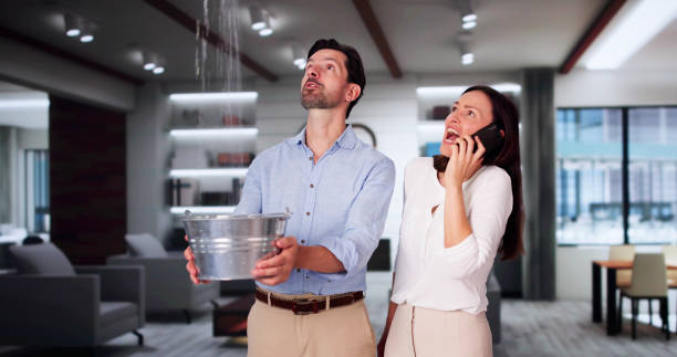 Best Sewage cleanup and water damage restoration  in Mount Vernon, AL