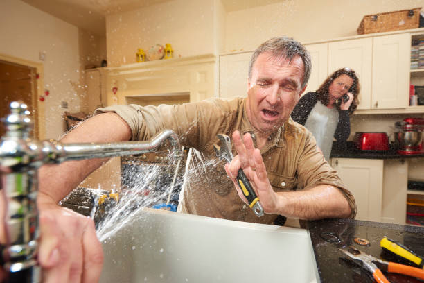 Best Water damage cleanup near me  in Mount Vernon, AL